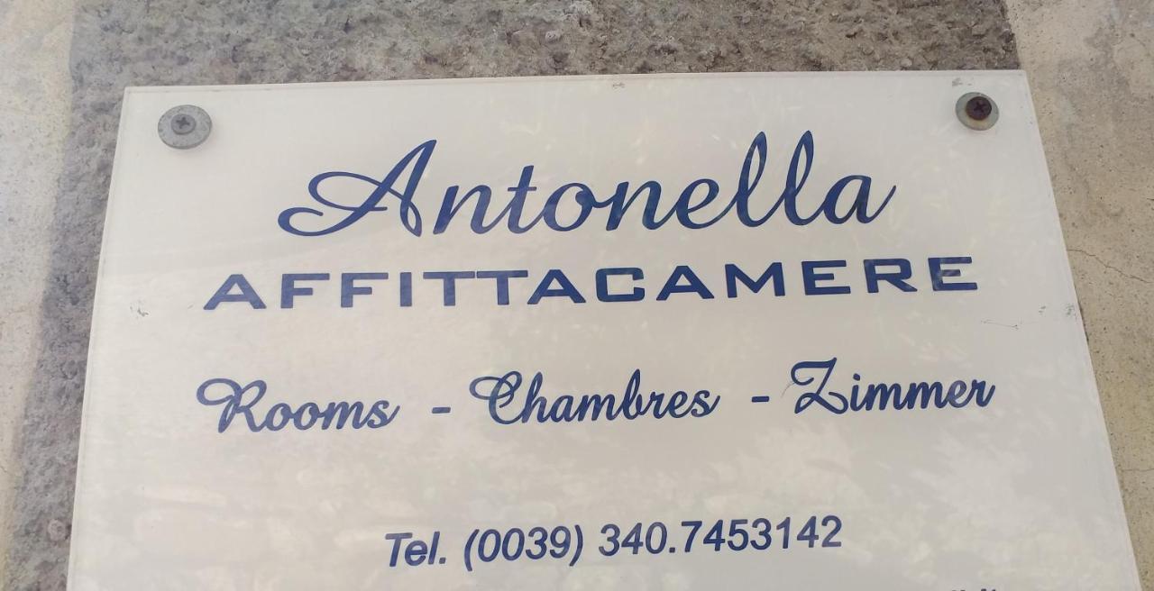Affittacamere Antonella 蒙特罗索阿尔马雷 外观 照片